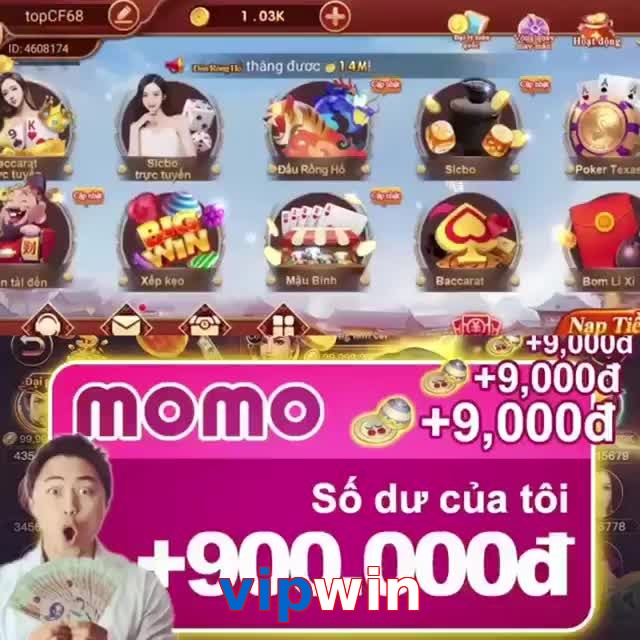 vipwin